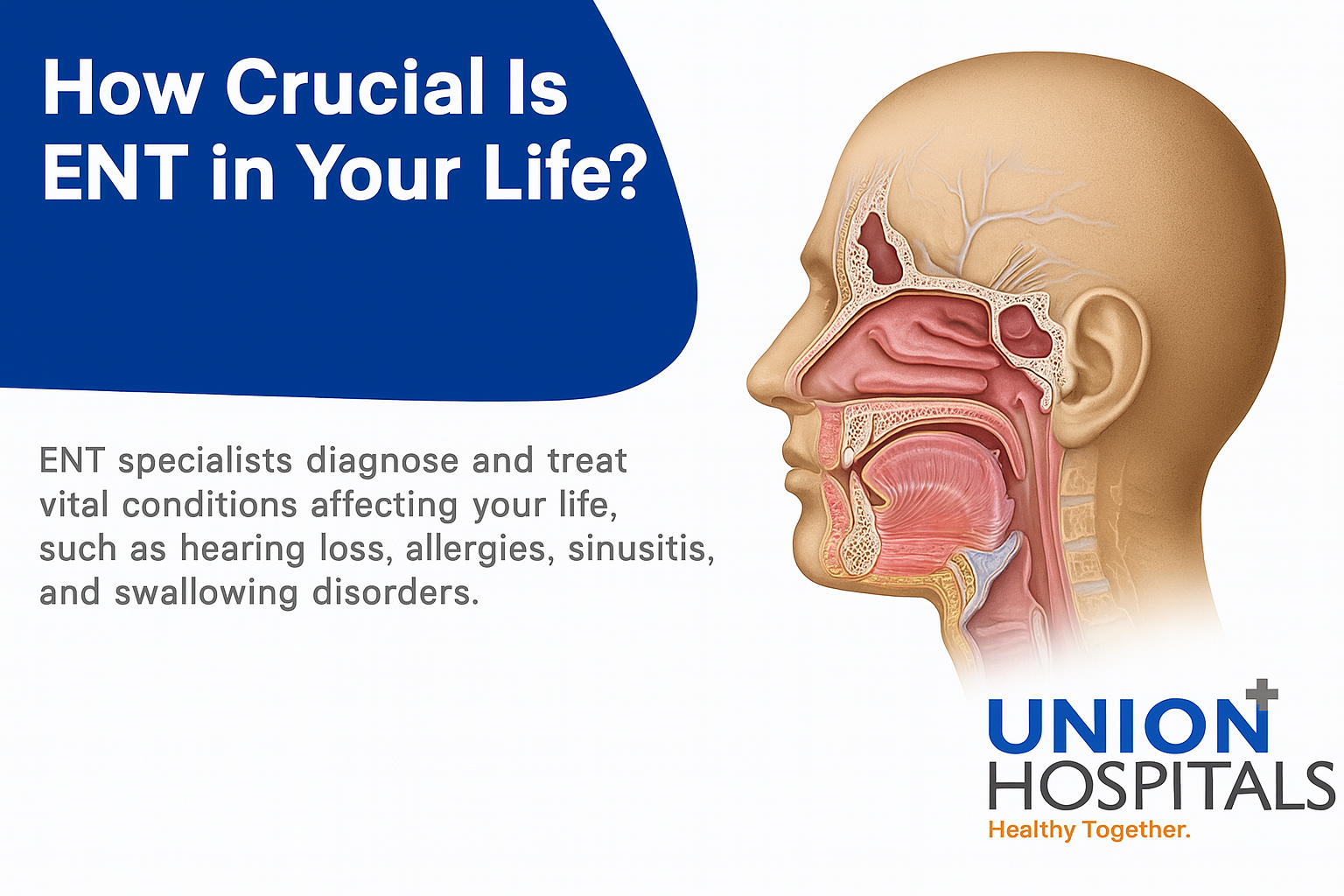 HOW CRUCIAL IS ENT IN YOUR LIFE?